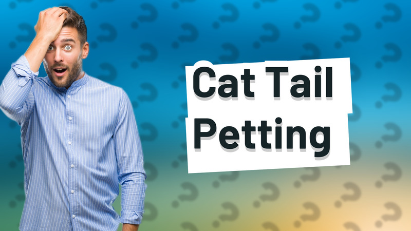 Cat Tail Petting