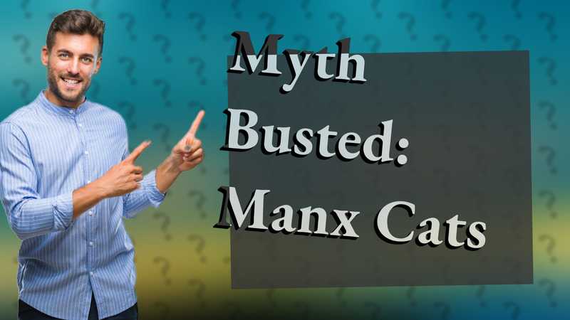 Myth Busted: Manx Cats