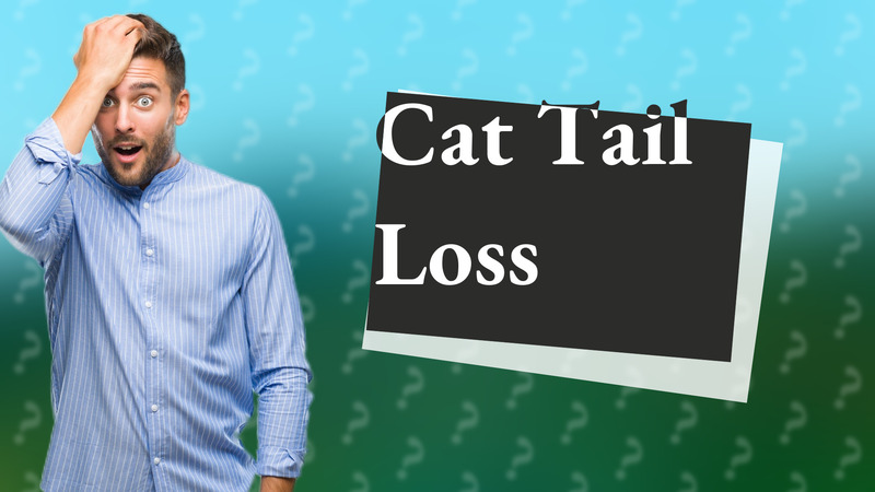 Cat Tail Loss