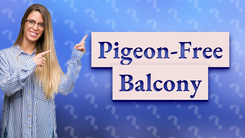 Pigeon-Free Balcony