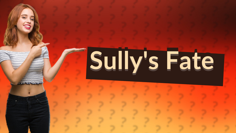 Sully's Fate