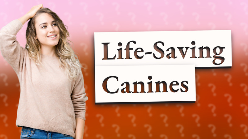 Life-Saving Canines