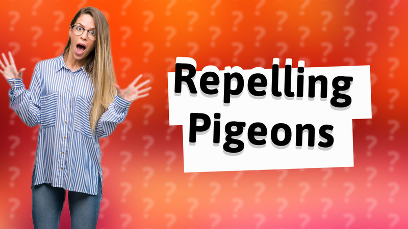 Repelling Pigeons
