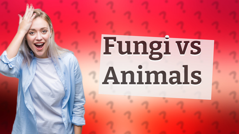 Fungi vs Animals