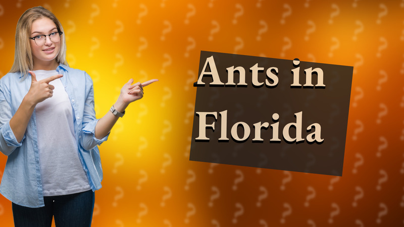 Ants in Florida