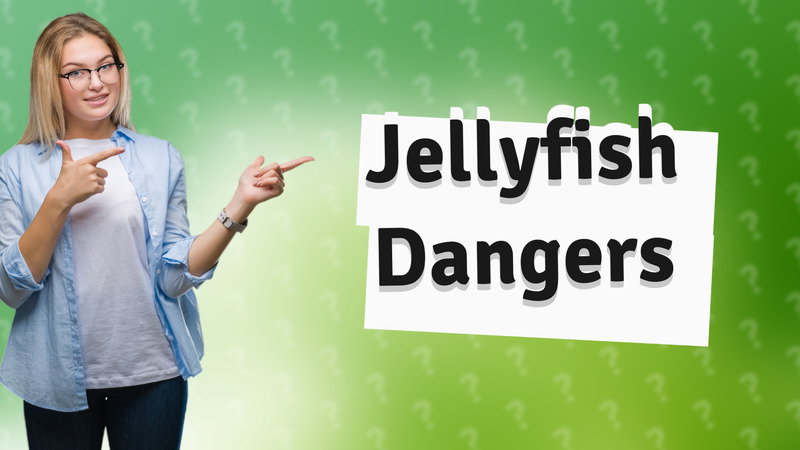 Jellyfish Dangers