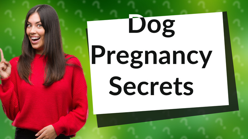 Dog Pregnancy Secrets