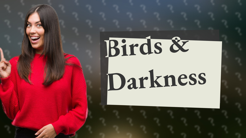 Birds & Darkness