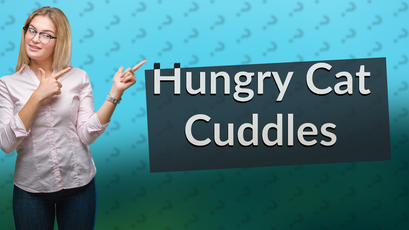 Hungry Cat Cuddles