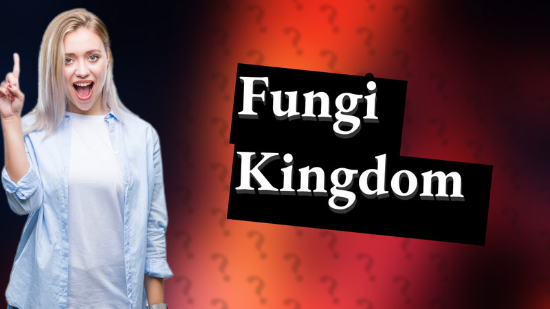 Fungi Kingdom