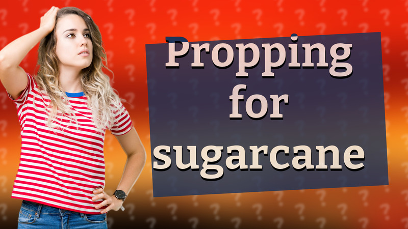 Propping for sugarcane