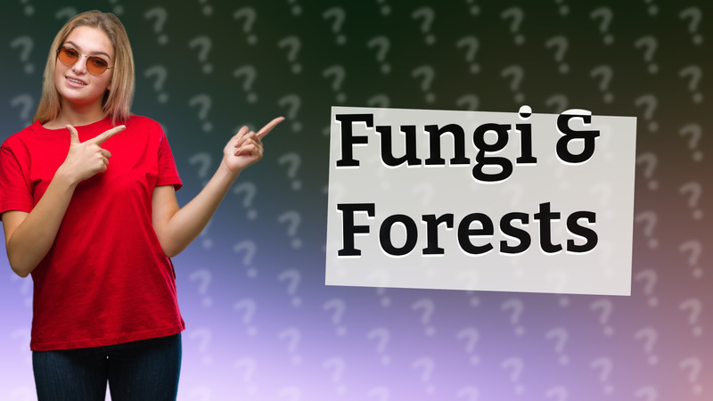 Fungi & Forests