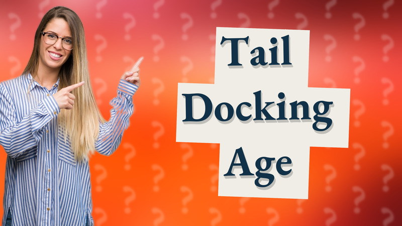 Tail Docking Age