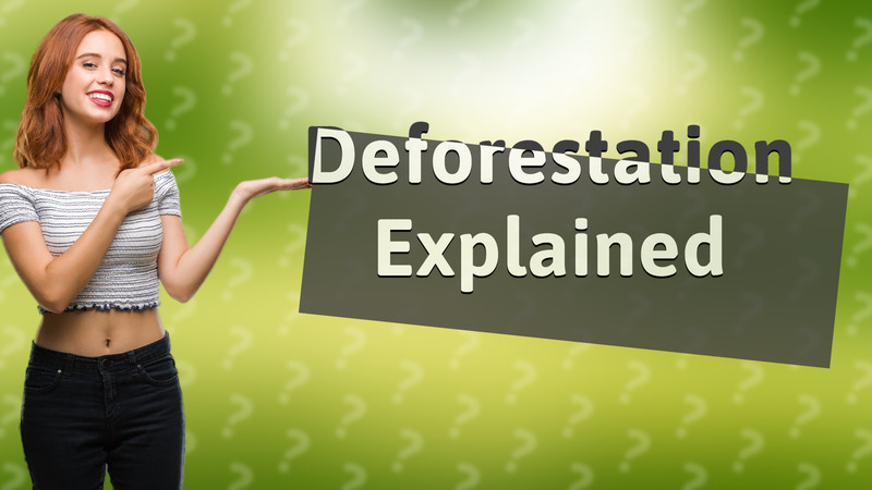 Deforestation Explained