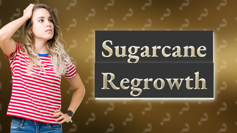 Sugarcane Regrowth
