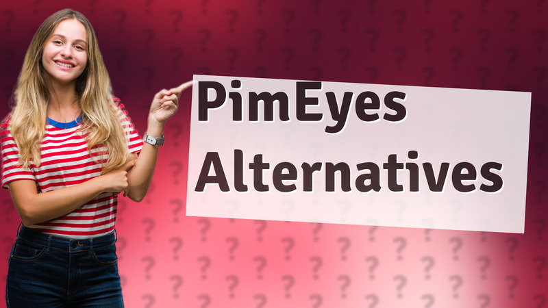 PimEyes Alternatives