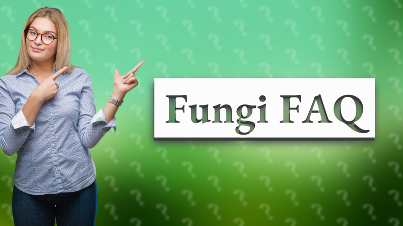 Fungi FAQ