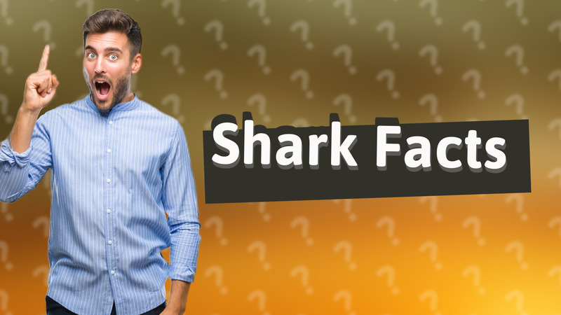 Shark Facts