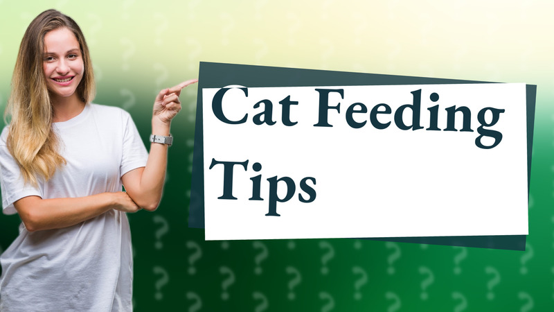 Cat Feeding Tips