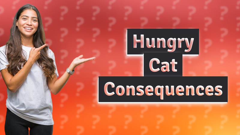 Hungry Cat Consequences