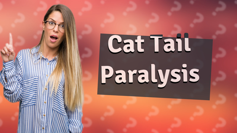 Cat Tail Paralysis