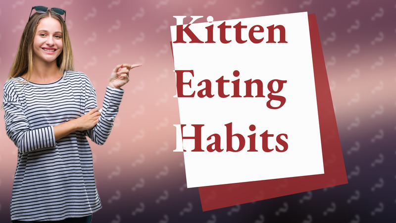 Kitten Eating Habits