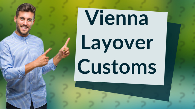 Vienna Layover Customs
