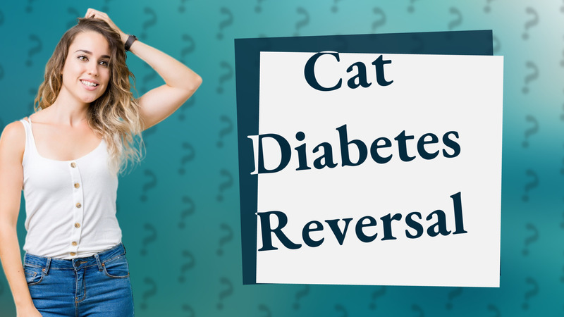 Cat Diabetes Reversal