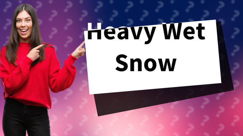 Heavy Wet Snow