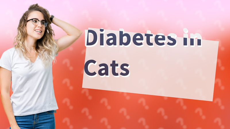 Diabetes in Cats