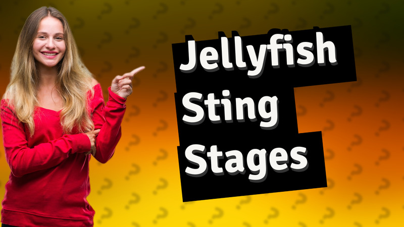 Jellyfish Sting Stages