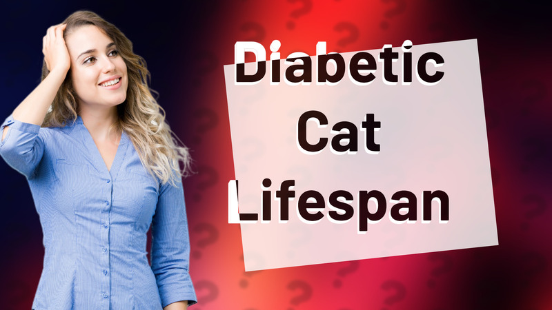 Diabetic Cat Lifespan