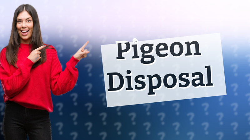 Pigeon Disposal