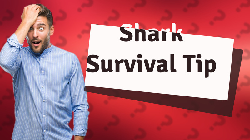 Shark Survival Tip