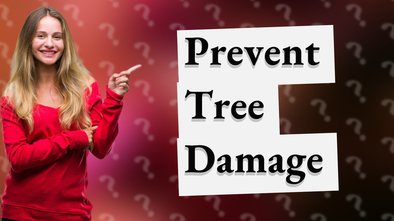 Prevent Tree Damage