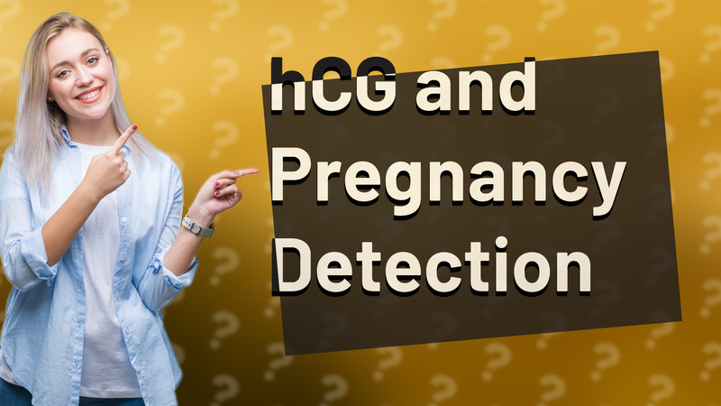 hCG and Pregnancy Detection