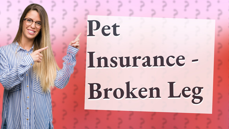 Pet Insurance - Broken Leg