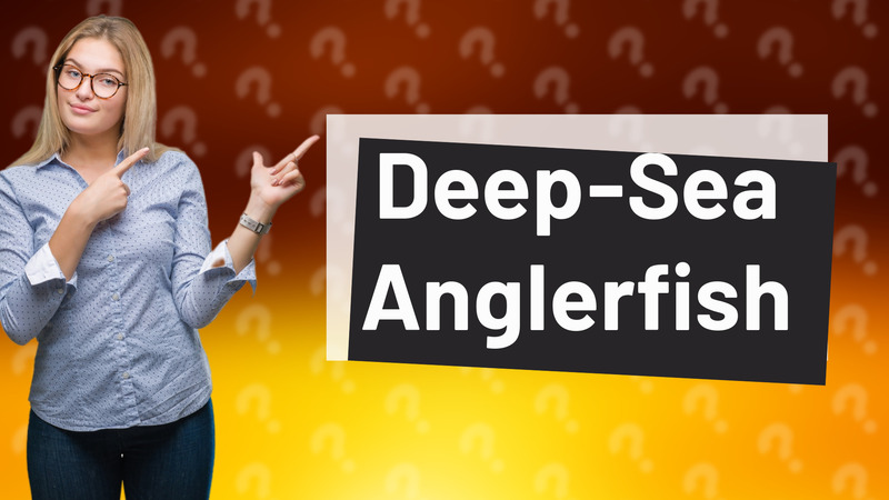 Deep-Sea Anglerfish