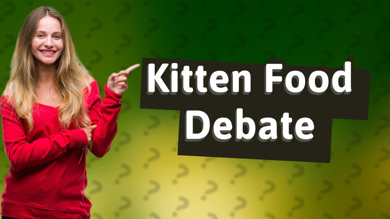 Kitten Food Debate