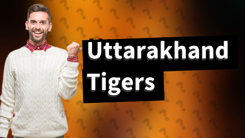 Uttarakhand Tigers