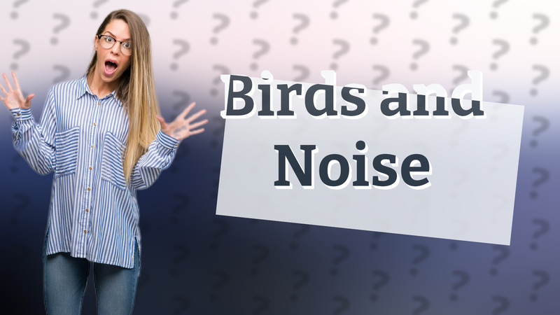 Birds and Noise