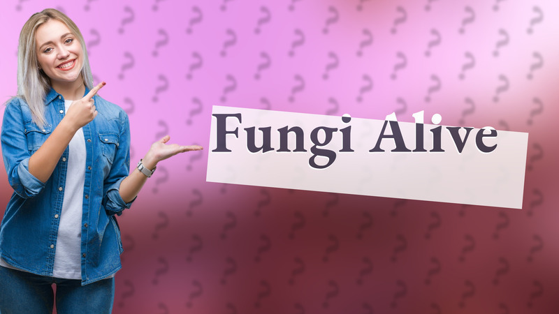 Fungi Alive