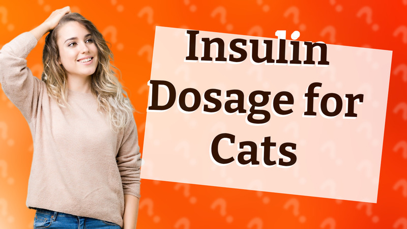 Insulin Dosage for Cats