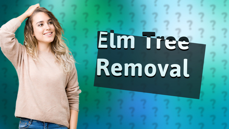 Elm Tree Removal