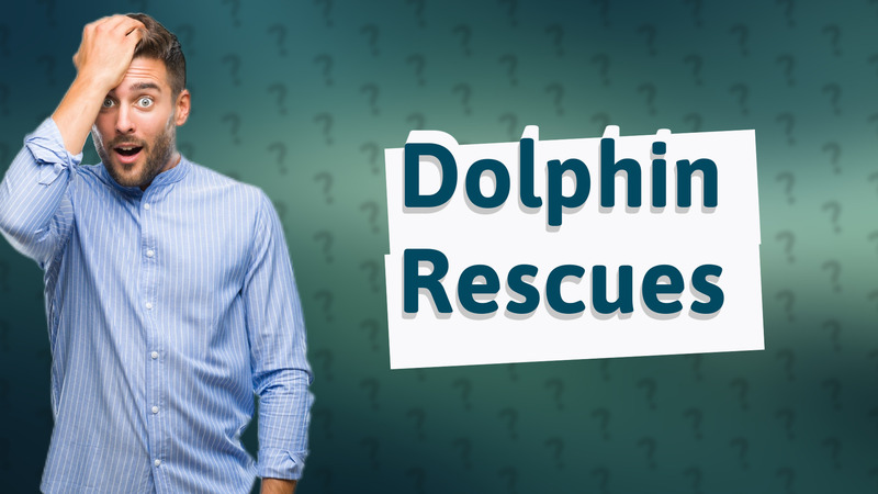 Dolphin Rescues