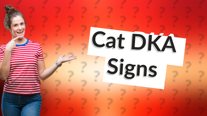 Cat DKA Signs