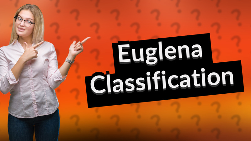 Euglena Classification
