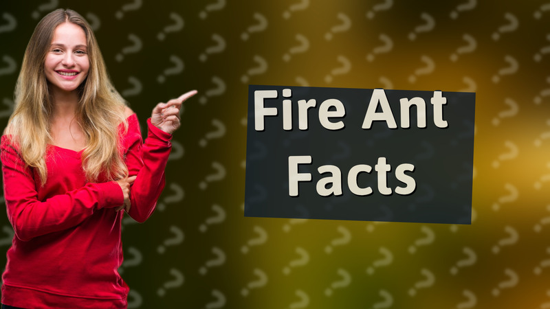 Fire Ant Facts