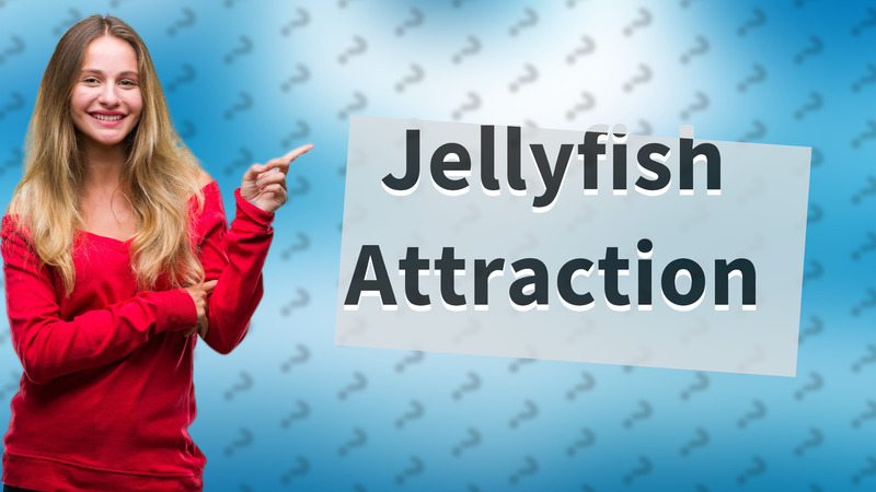 Jellyfish Attraction