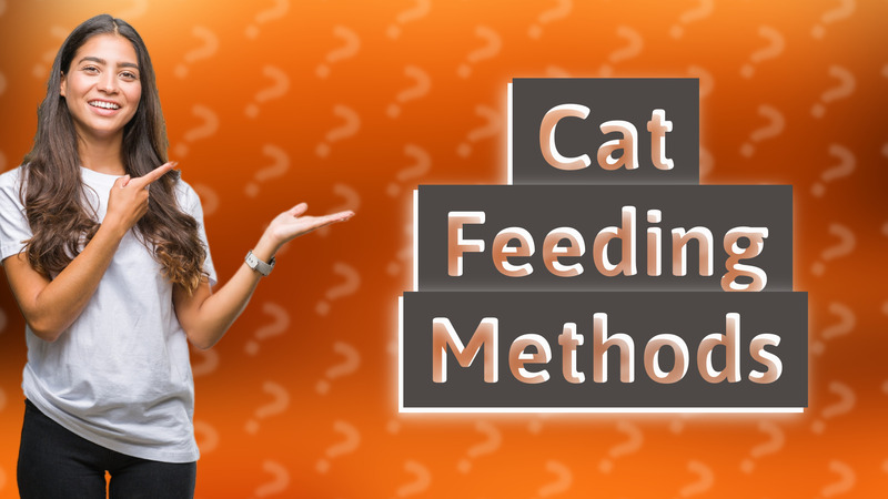 Cat Feeding Methods